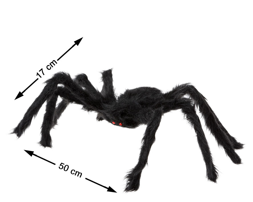 Aranha
