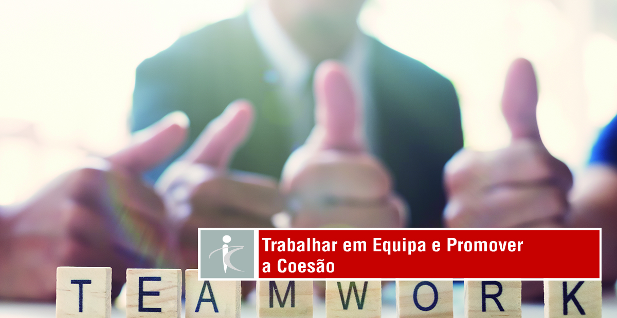 Trabalhar em Equipa e Promover a Coesão